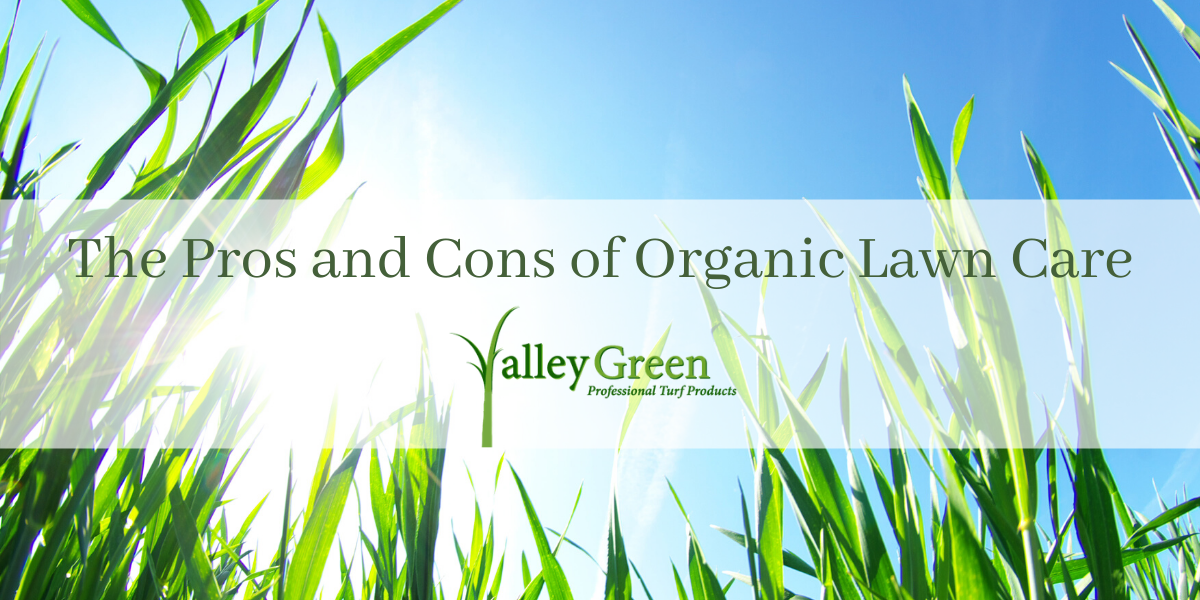 organic lawn care products
